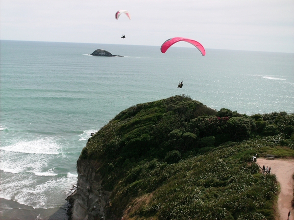 Auckland, NZ, Dec 2009. Photographer: Geoffrey Stewart Morrison