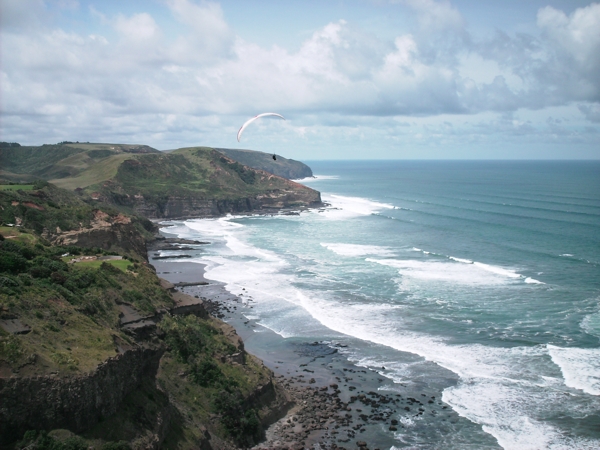 Auckland, NZ, Dec 2009. Photographer: Geoffrey Stewart Morrison