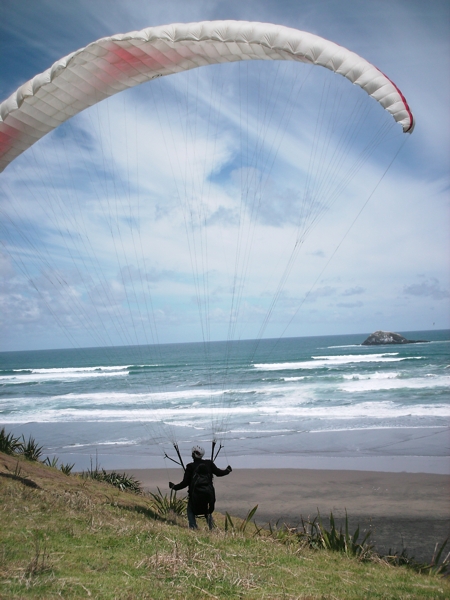 Auckland, NZ, Dec 2009. Photographer: Geoffrey Stewart Morrison