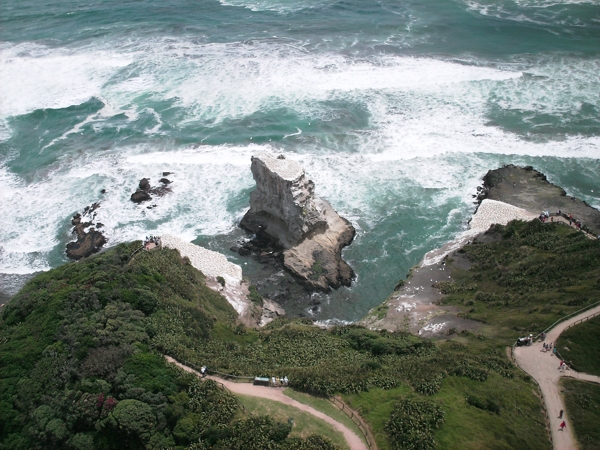 Auckland, NZ, Dec 2009. Photographer: Geoffrey Stewart Morrison