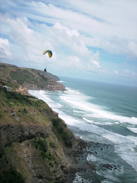Auckland, NZ, Dec 2009. Photographer: Geoffrey Stewart Morrison