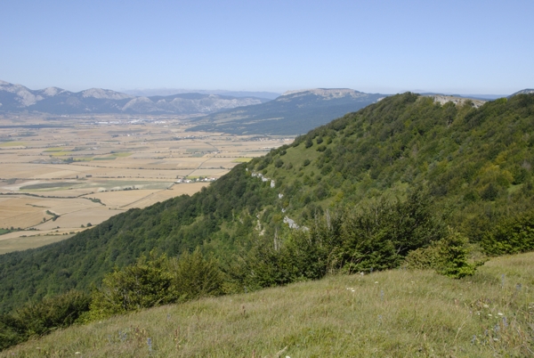 Santa Helena, July 2010. Photographer: Geoffrey Stewart Morrison