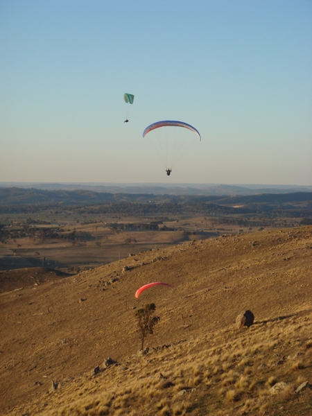 Spring Hill, August 2008. Photographer: Geoffrey Stewart Morrison