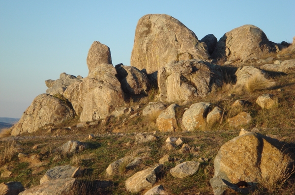 Spring Hill, August 2008. Photographer: Geoffrey Stewart Morrison