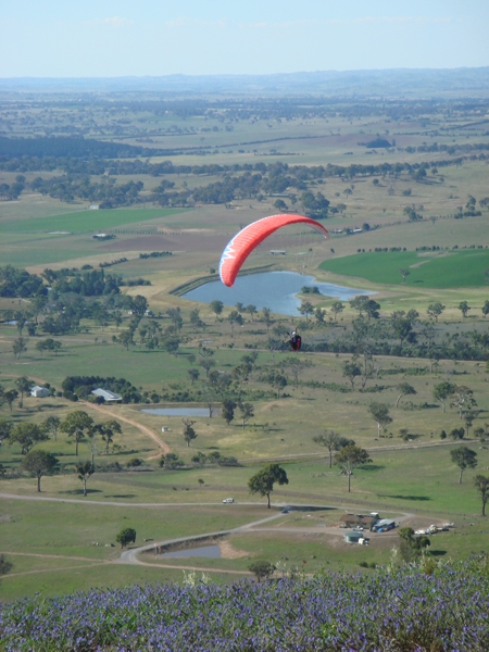 Spring Hill, December 2007. Photographer: Cuiling Zhang