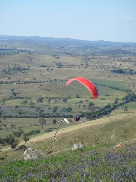 Spring Hill, December 2007. Photographer: Cuiling Zhang