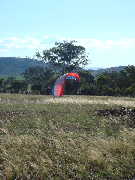 Spring Hill, December 2007. Photographer: Cuiling Zhang