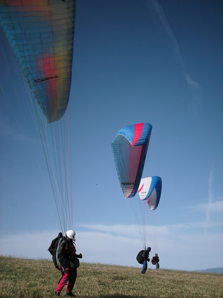 Spring Hill, October 2008. Photographer: Geoffrey Stewart Morrison