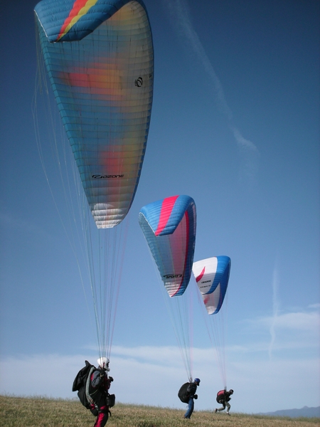 Spring Hill, October 2008. Photographer: Geoffrey Stewart Morrison