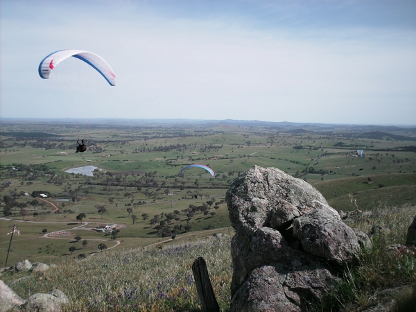 Spring Hill, October 2008. Photographer: Geoffrey Stewart Morrison