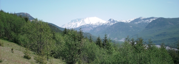 Toutle, May 2009. Photographer: Geoffrey Stewart Morrison