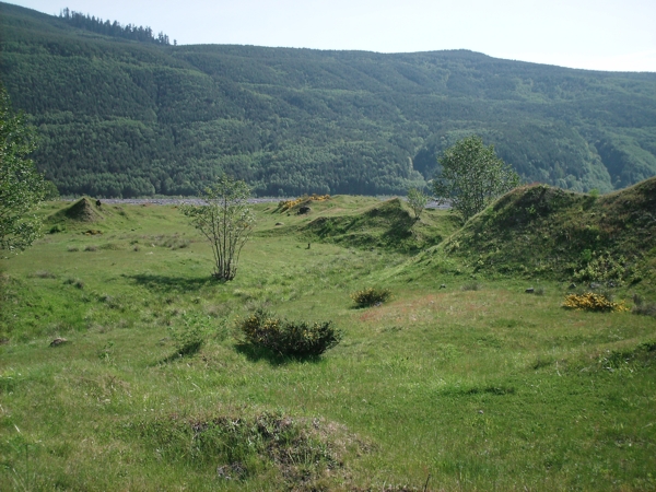 Toutle, May 2009. Photographer: Geoffrey Stewart Morrison