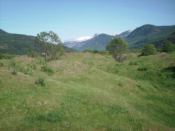 Toutle, May 2009. Photographer: Geoffrey Stewart Morrison