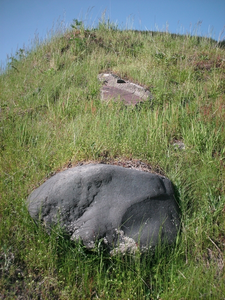 Toutle, May 2009. Photographer: Geoffrey Stewart Morrison